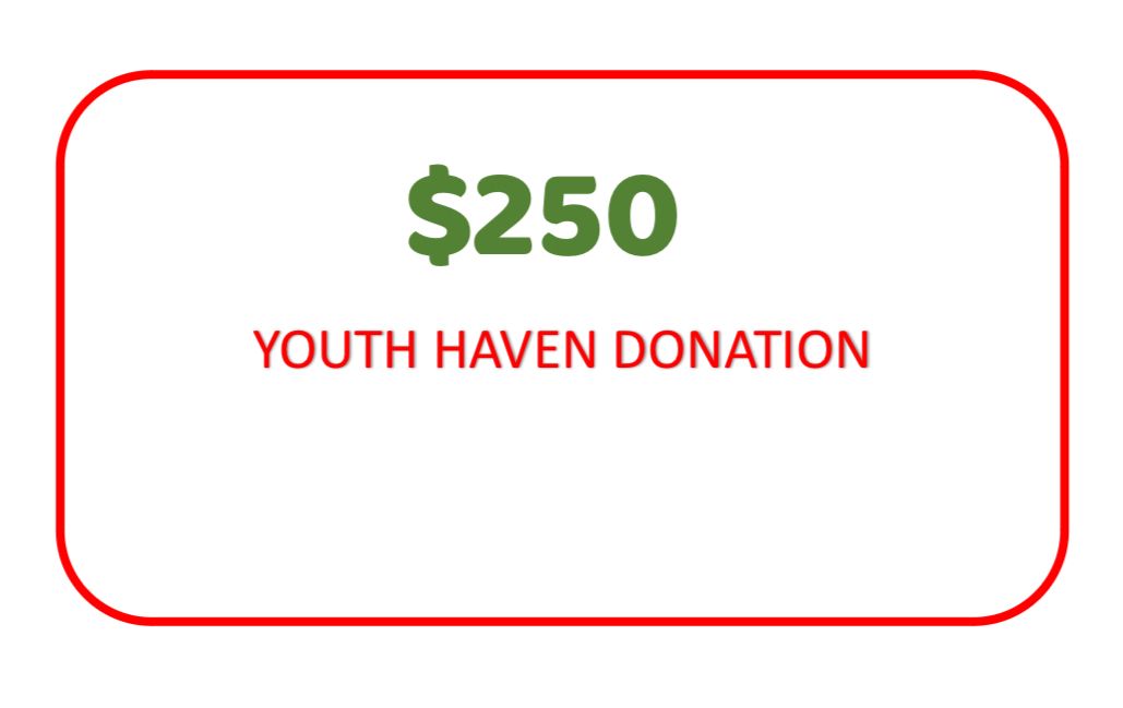 $250 YOUTH HAVEN DONATION