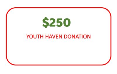 $250 YOUTH HAVEN DONATION