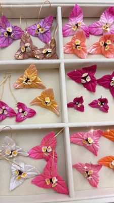 Bougainvillea Collection