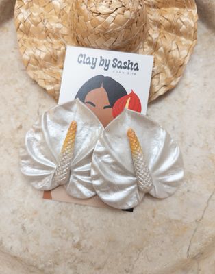 Anthurium Collection 