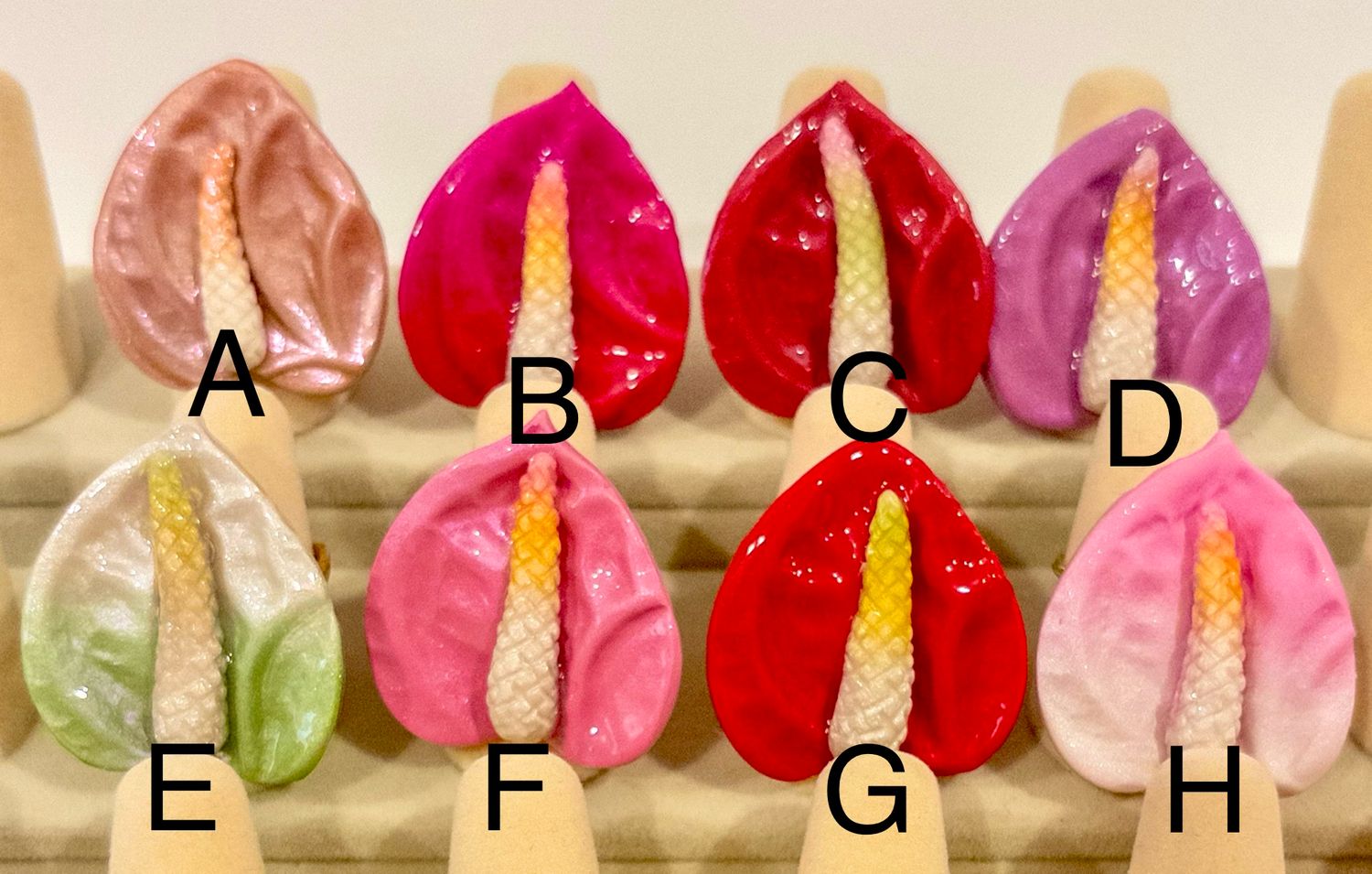 Anthurium (C) Ring