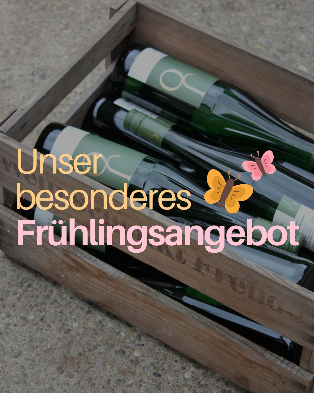 Frühlingsangebot