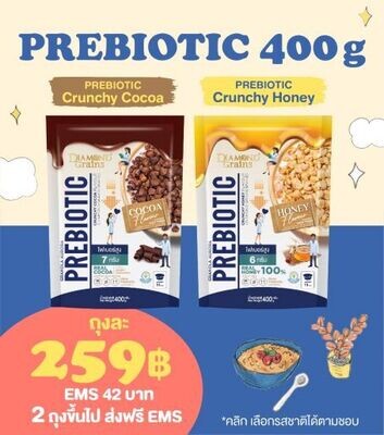 Prebiotic 400g