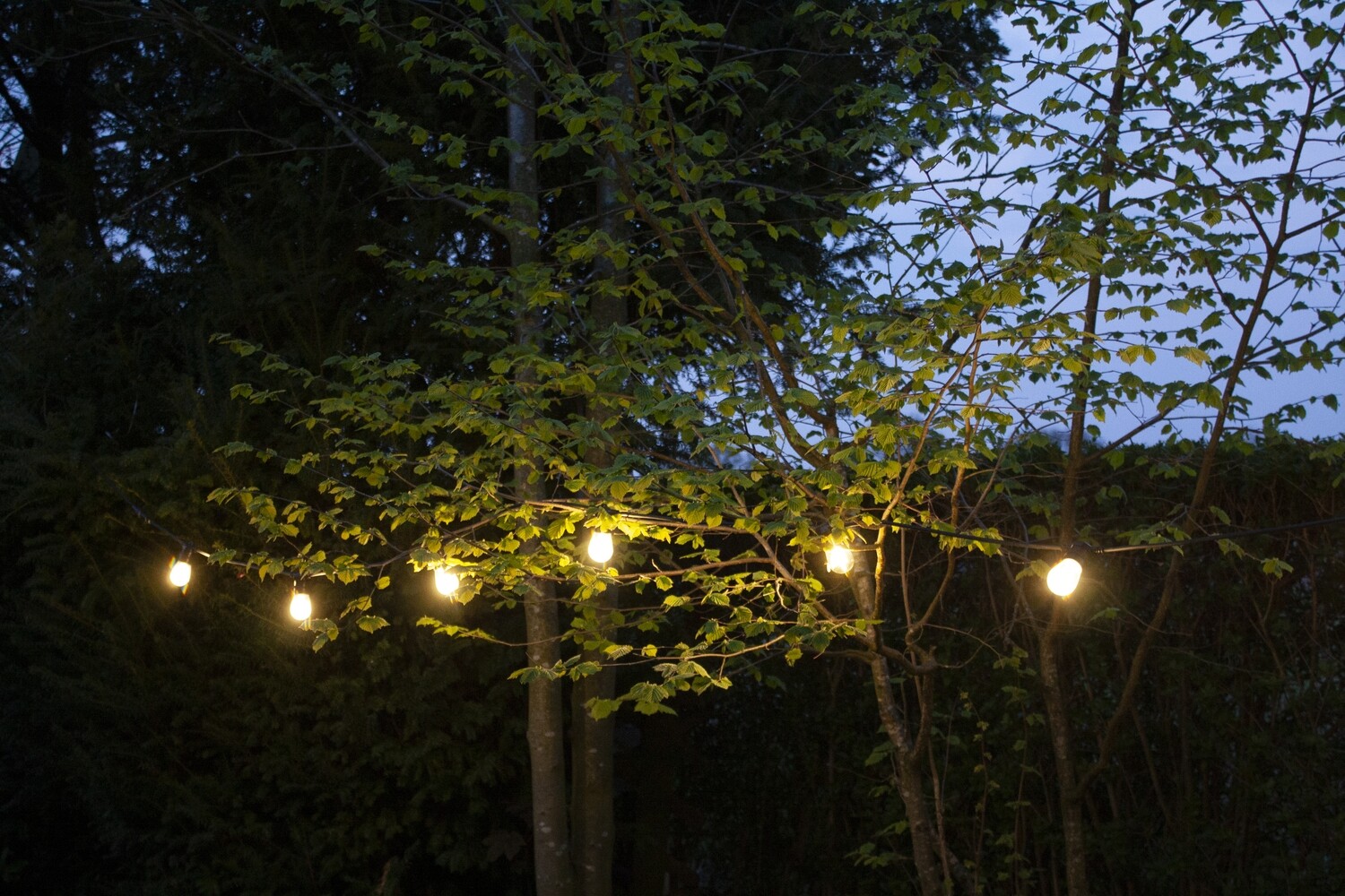 Guirlande Extérieure LED / OLS-810