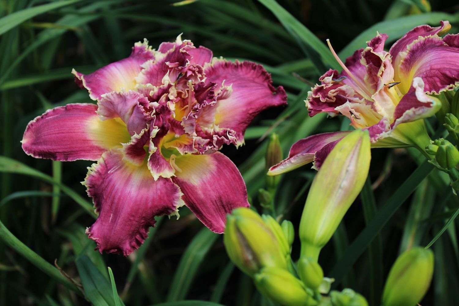 Sheila Hyatt Sheila Hyatt