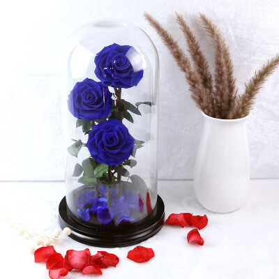 Everlasting Triple Rose Dome