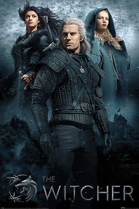 Poster The Witcher 61 x 91 cm NEU & OVP