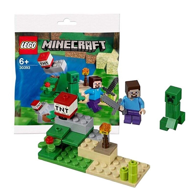 LEGO Minecraft 30393 Steve & Creeper Polybag