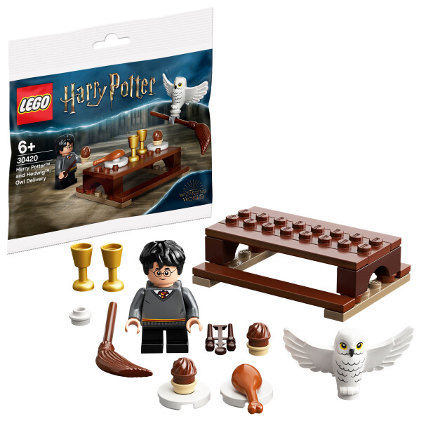 LEGO Harry Potter 30420 Harry Potter & Hedwig Eulen Lieferung Polybag