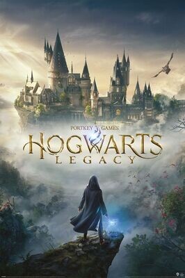 Wizarding World Harry Potter Hogwarts Legacy Poster 61 x 91 cm