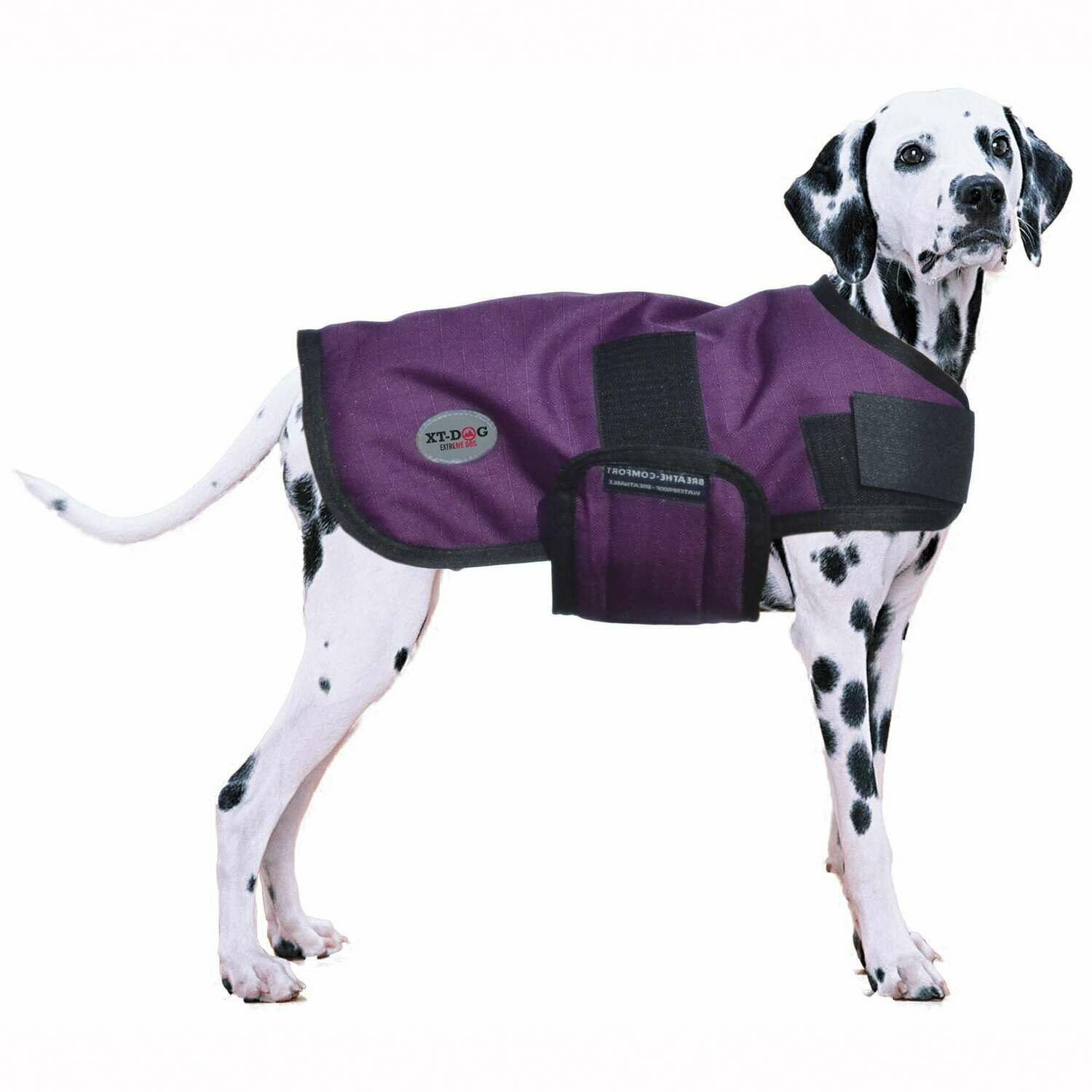 Abrigo Winter XT-DOG