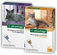 ADVANTAGE PARA GATOS