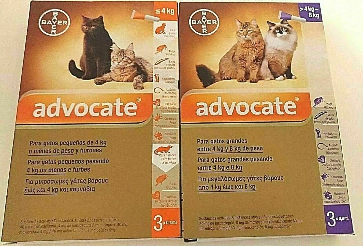 ADVOCATE SPOT ON PARA GATOS PEQUEÑOS Y GATITOS 1- 4 KG