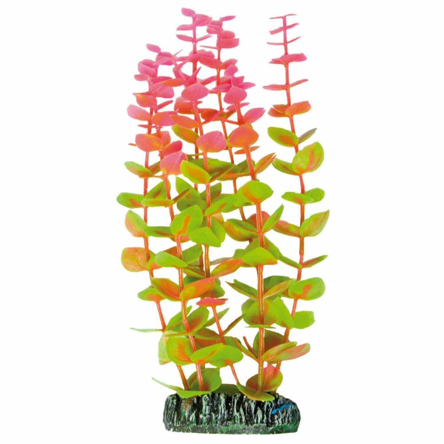 Alternanthera de AQUATIC PLANTS (PLÁSTICO)