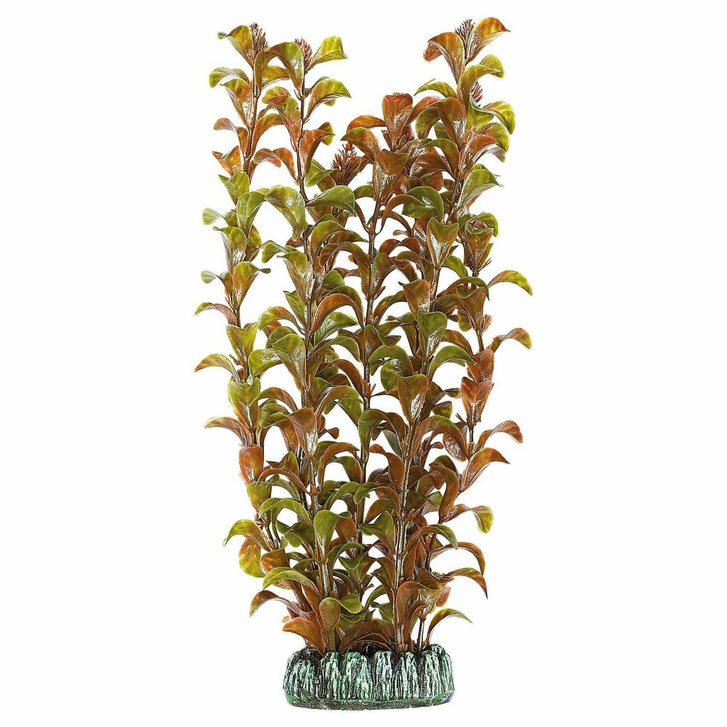 Alternanthera de AQUATIC PLANTS (PLÁSTICO)