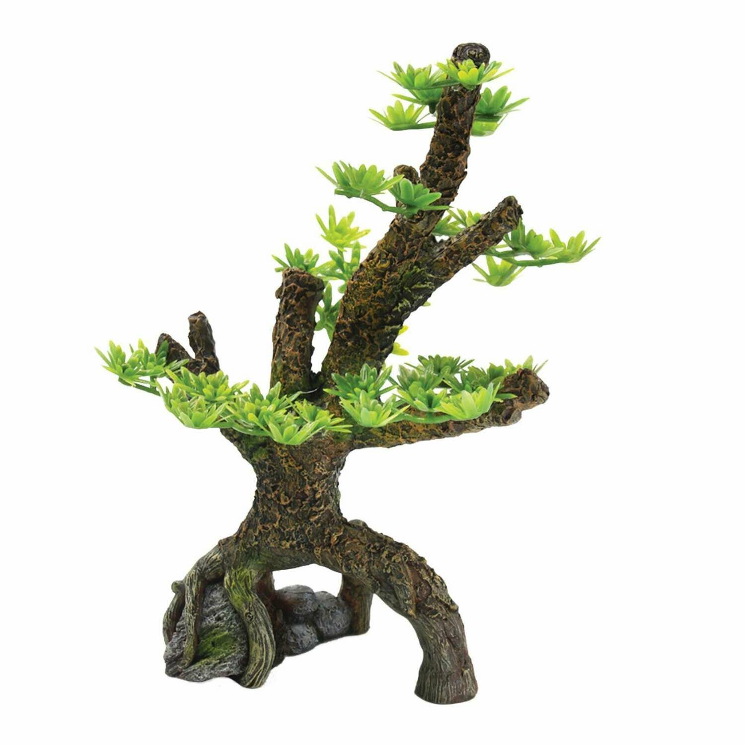 Árbol bosque de pinos de ICA