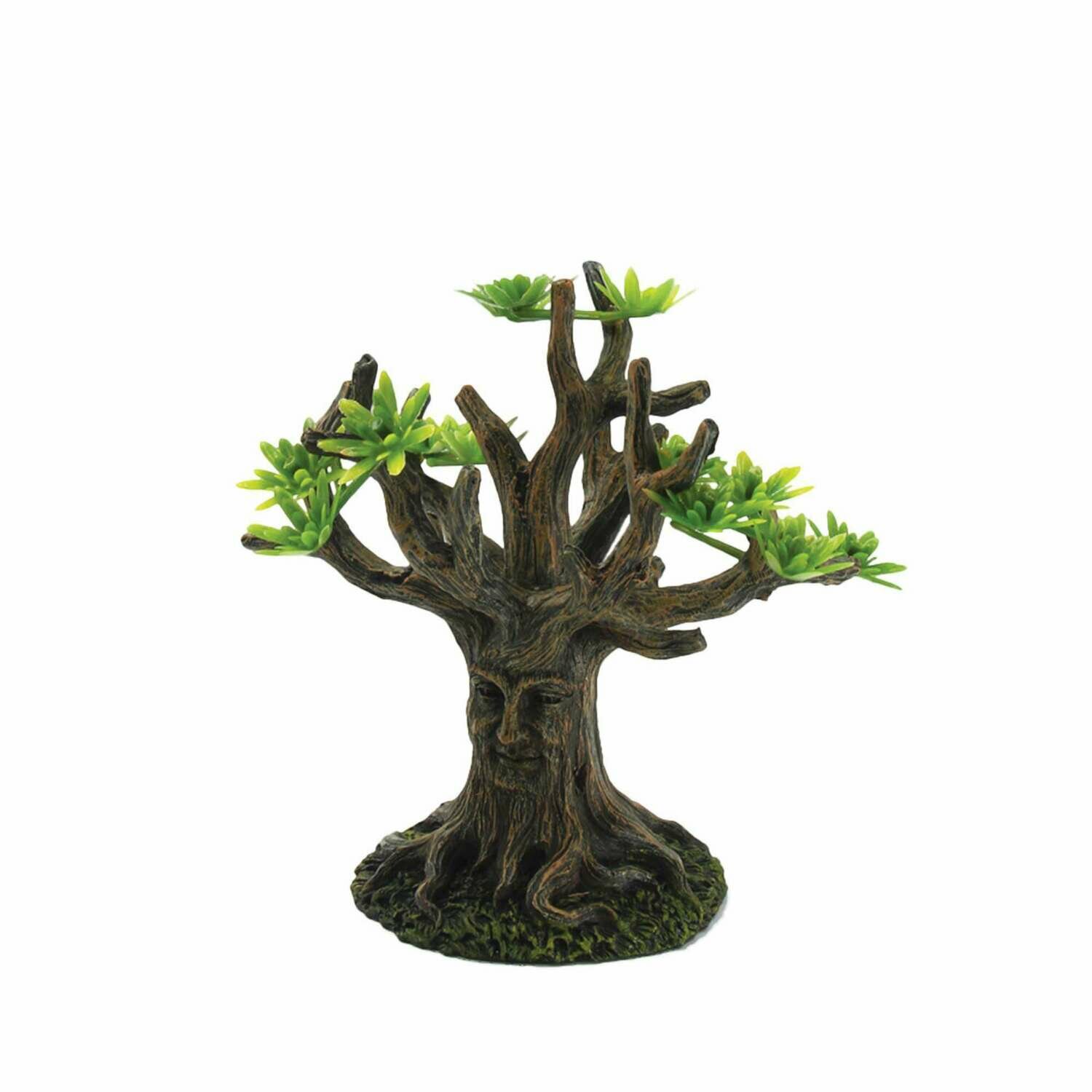 Árbol bosque de pinos de ICA