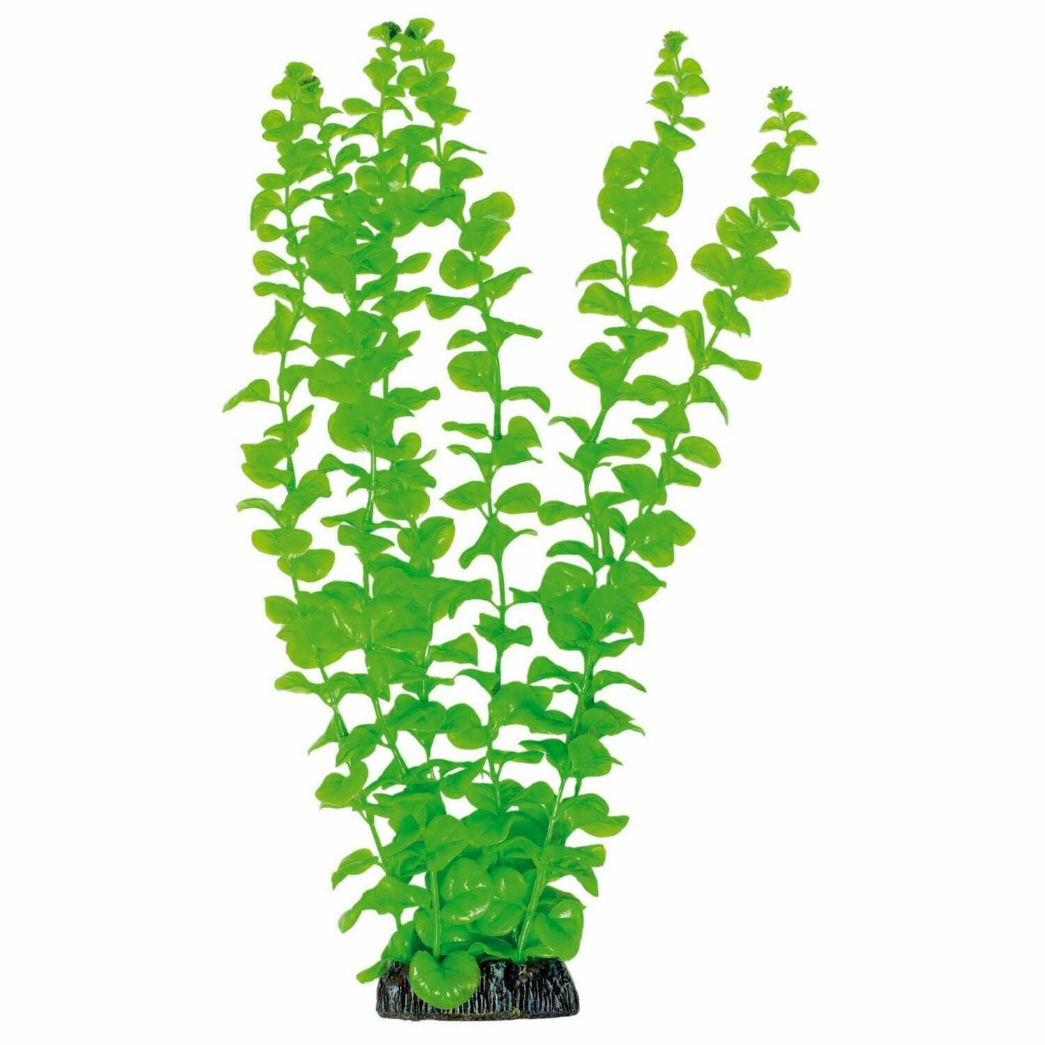 Bacopa de AQUATIC PLANTS (PLÁSTICO)