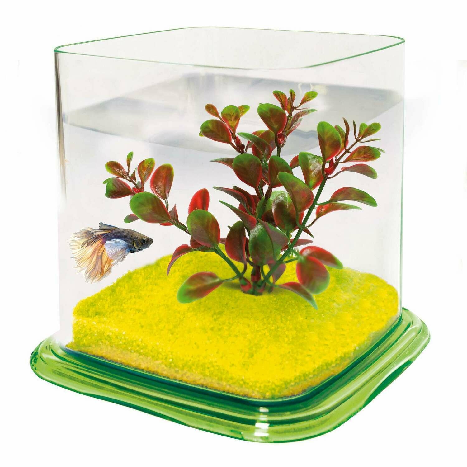 Bettera BETTA PARADISE