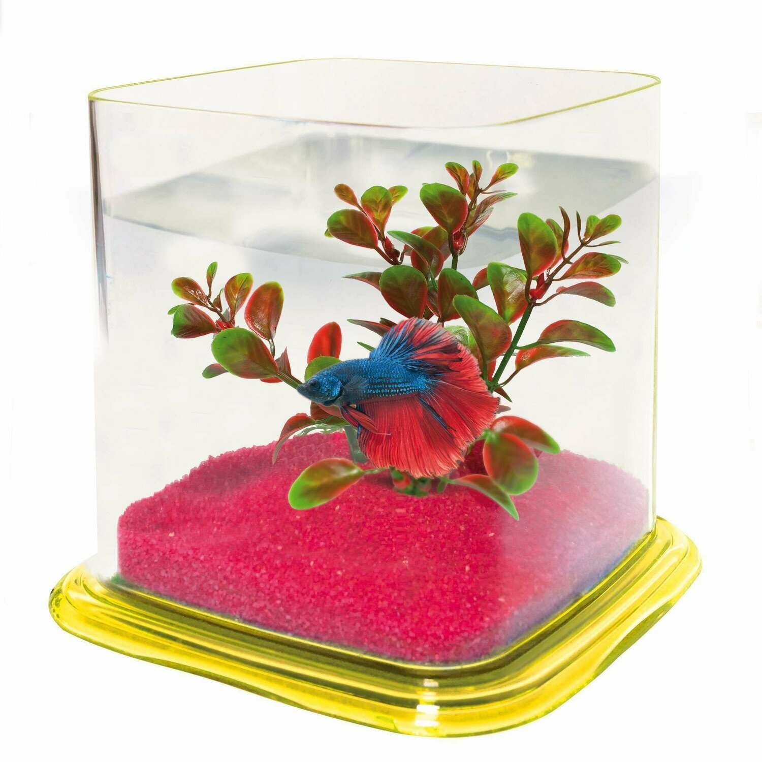 Bettera BETTA PARADISE