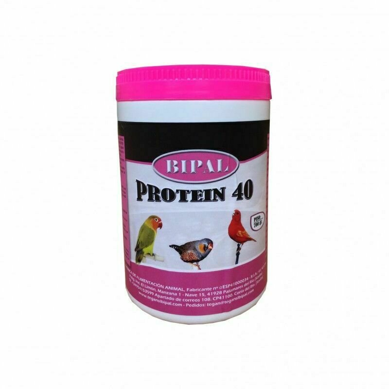 BIPAL PROTEIN 40