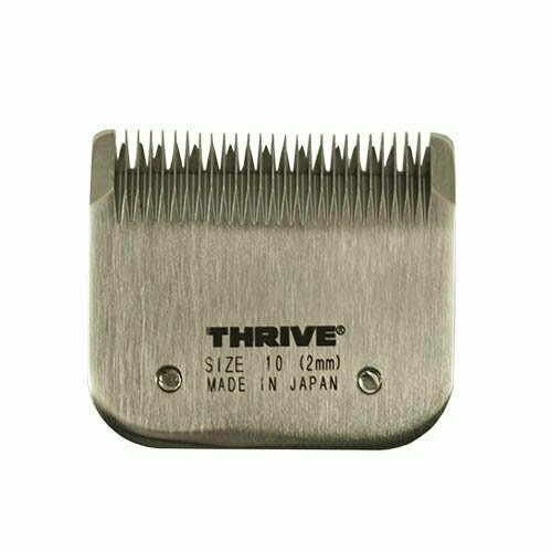 Cabezales Thrive 808