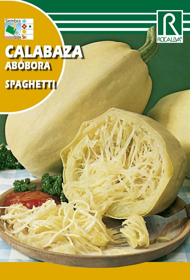 CALABAZA CALABAZA SPAGHETTI