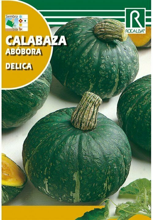 CALABAZA DELICA