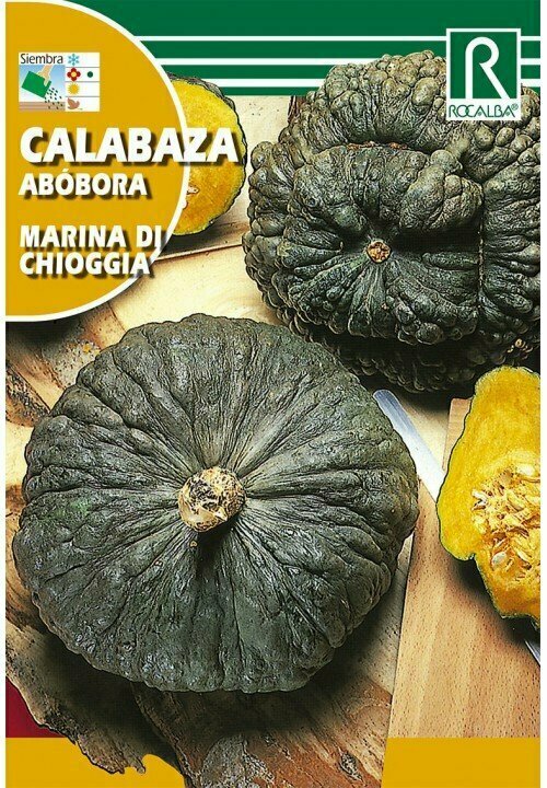 CALABAZA MARINA DI CHIOGGIA
