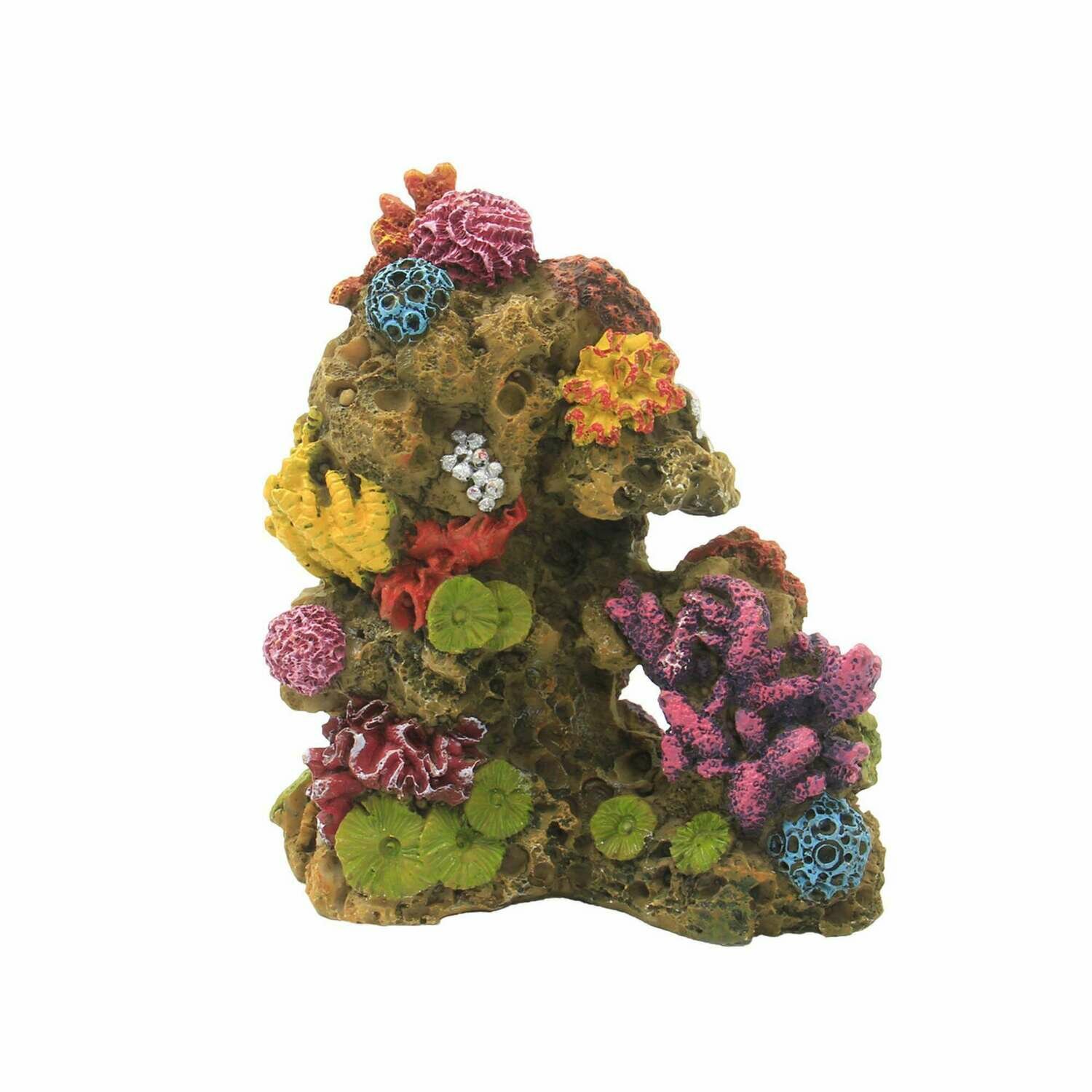 Conjunto de CORAL_REEF de ICA