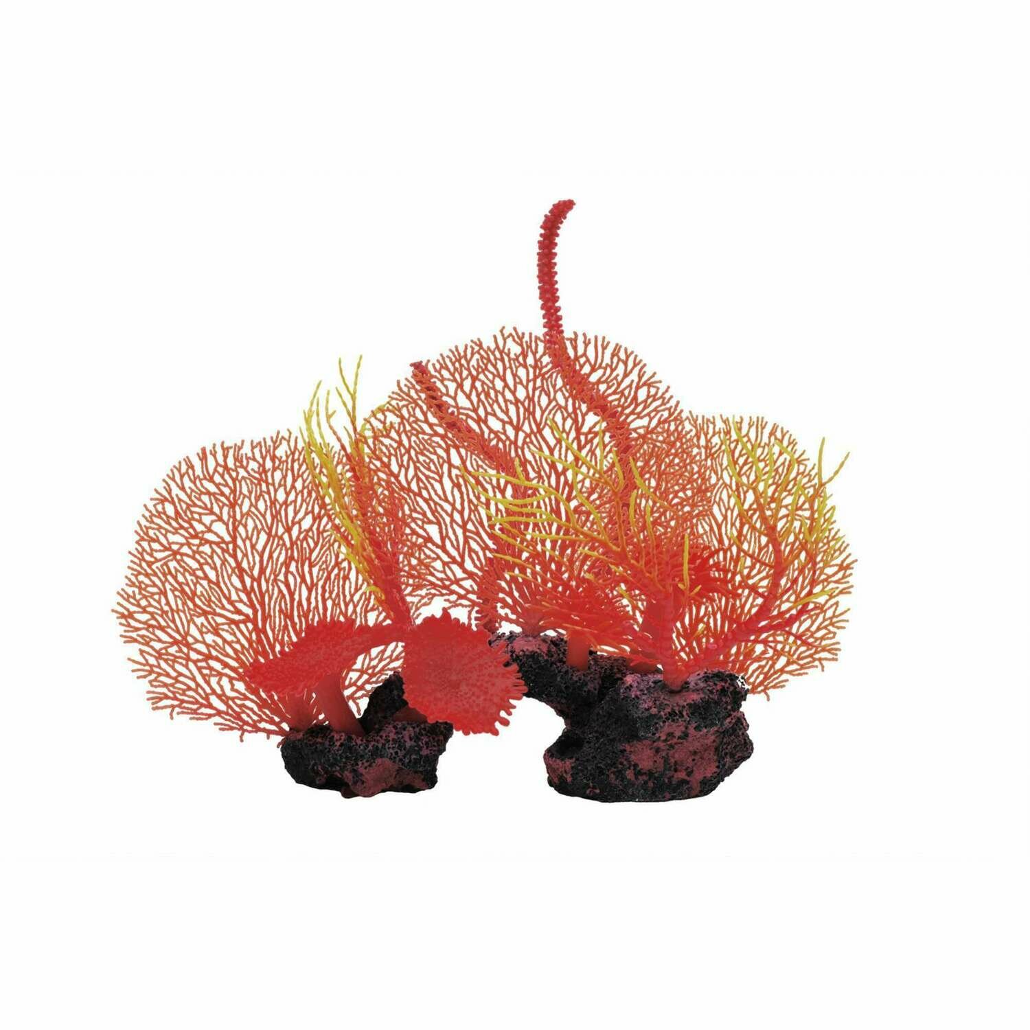 Conjunto Gorgonias de ICA