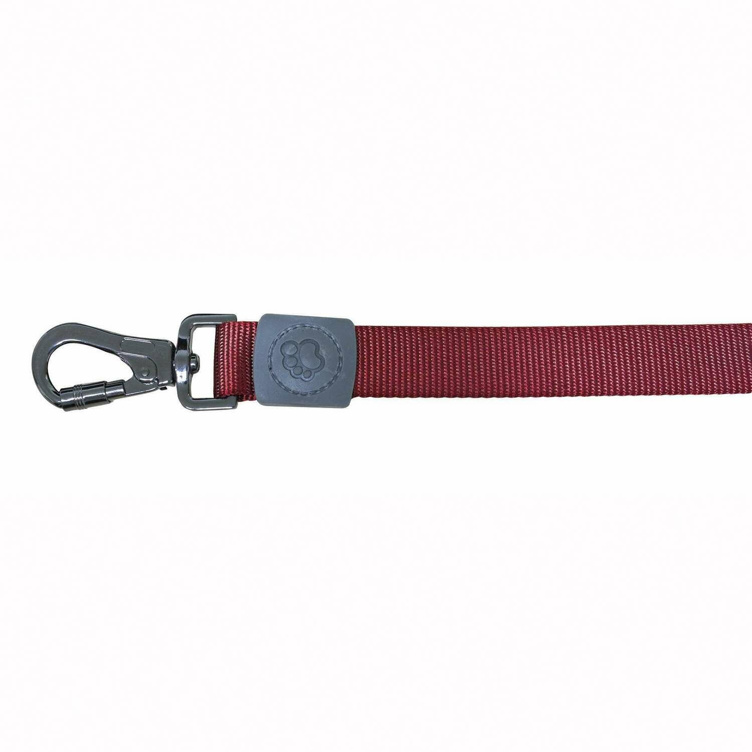 Correa Classic XT-DOG