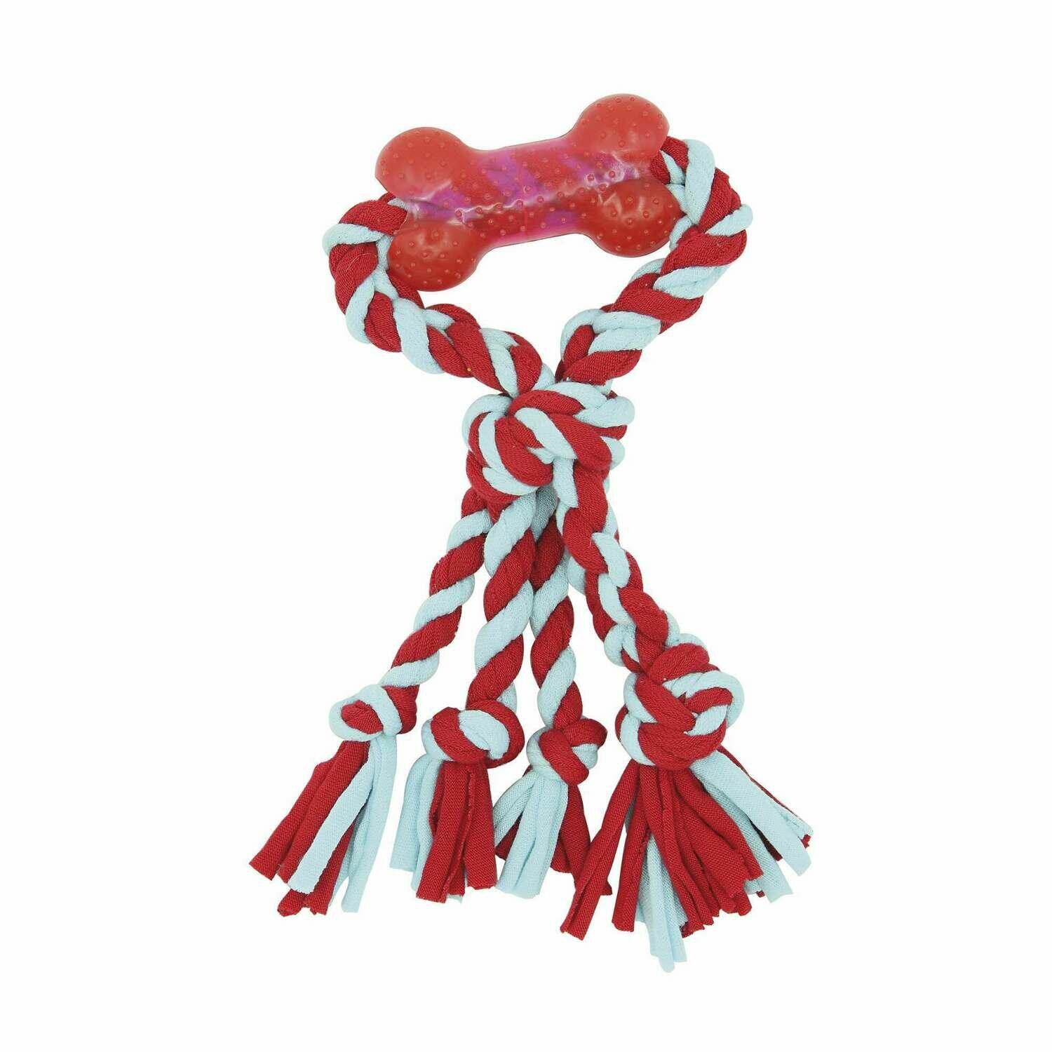 Cuerda dental Elastic con hueso