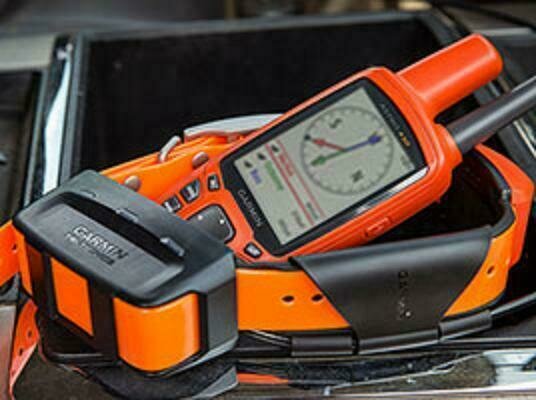 Dispositivo de seguimiento ALPHA 50 + T5 para perros de caza