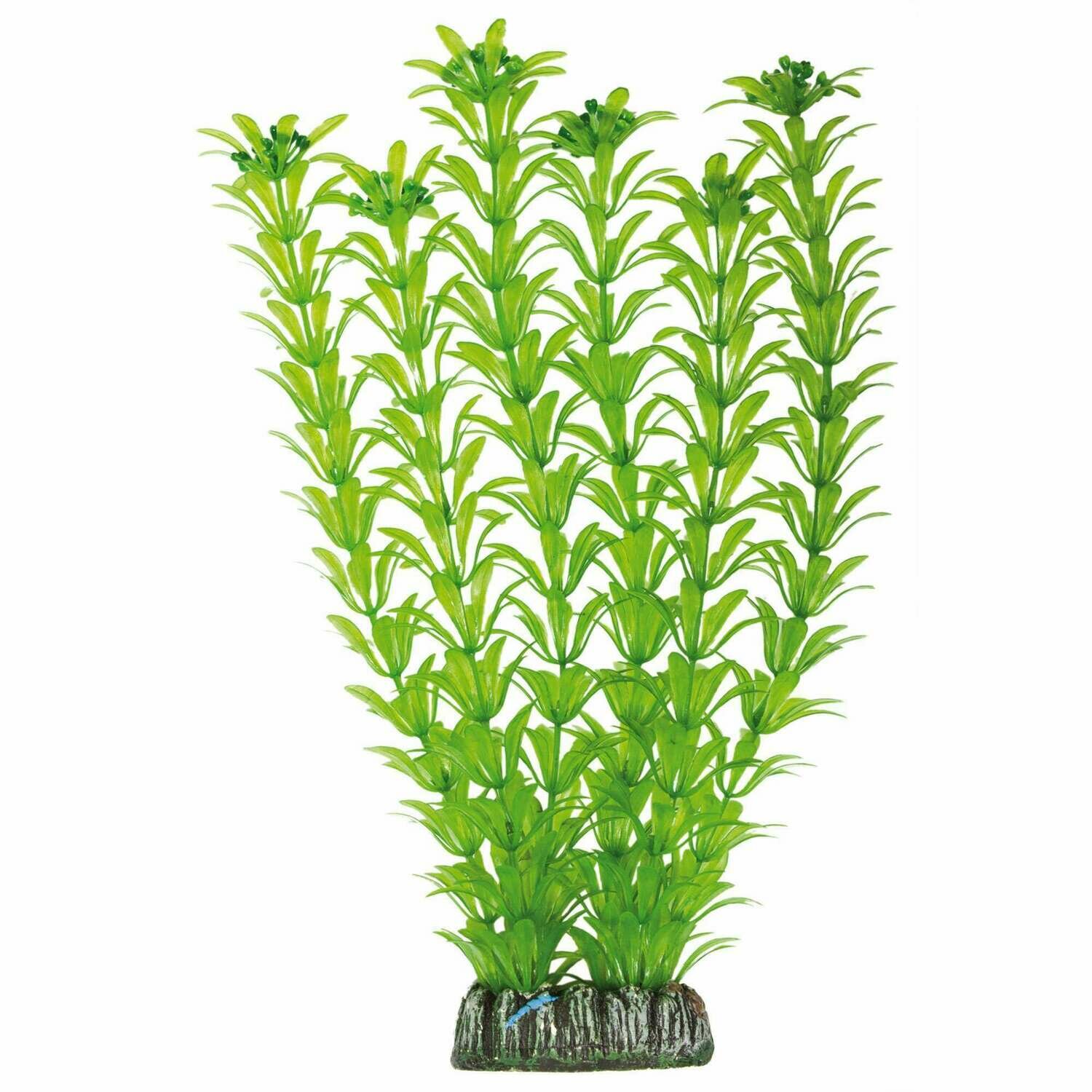Elodea de AQUATIC PLANTS (PLÁSTICO)