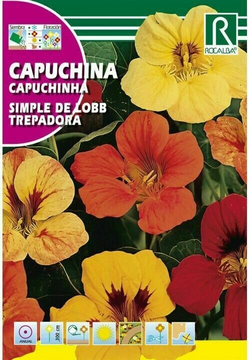 FLORES CAPUCHINA