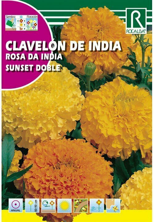 FLORES CLAVELÓN DE INDIA SUNSET DOBLE GRANDE VARIADO