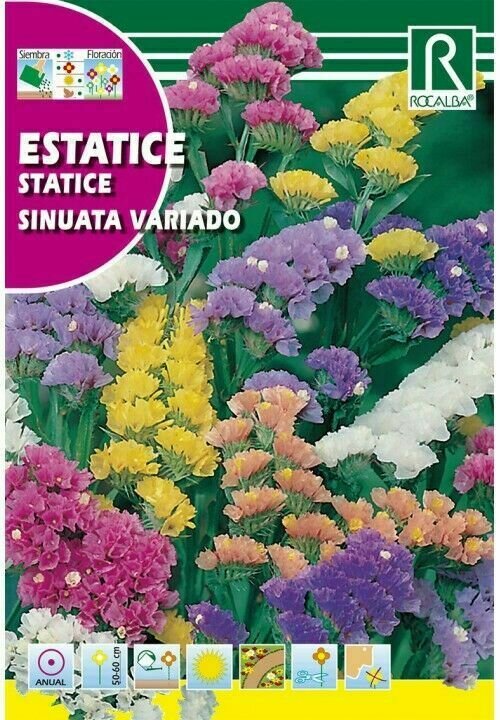FLORES ESTATICE VARIADO