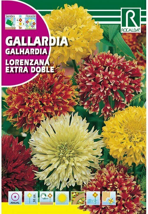 FLORES GALLARDÍA LORENZIANA EXTRA DOBLE VARIADA