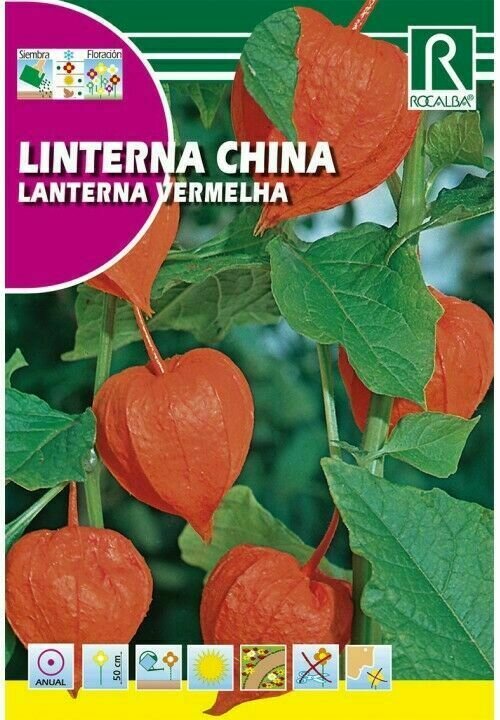 FLORES LINTERNA CHINA