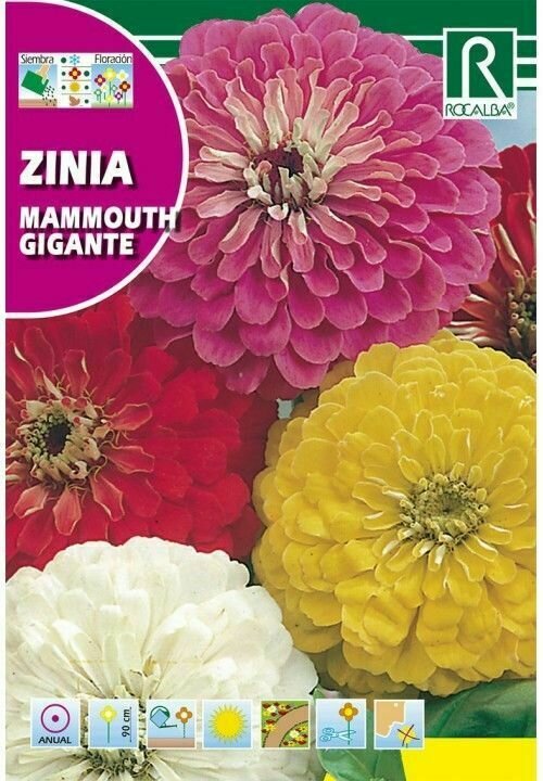 FLORES ZINIA MAMMOUTH GIGANTE VARIADA