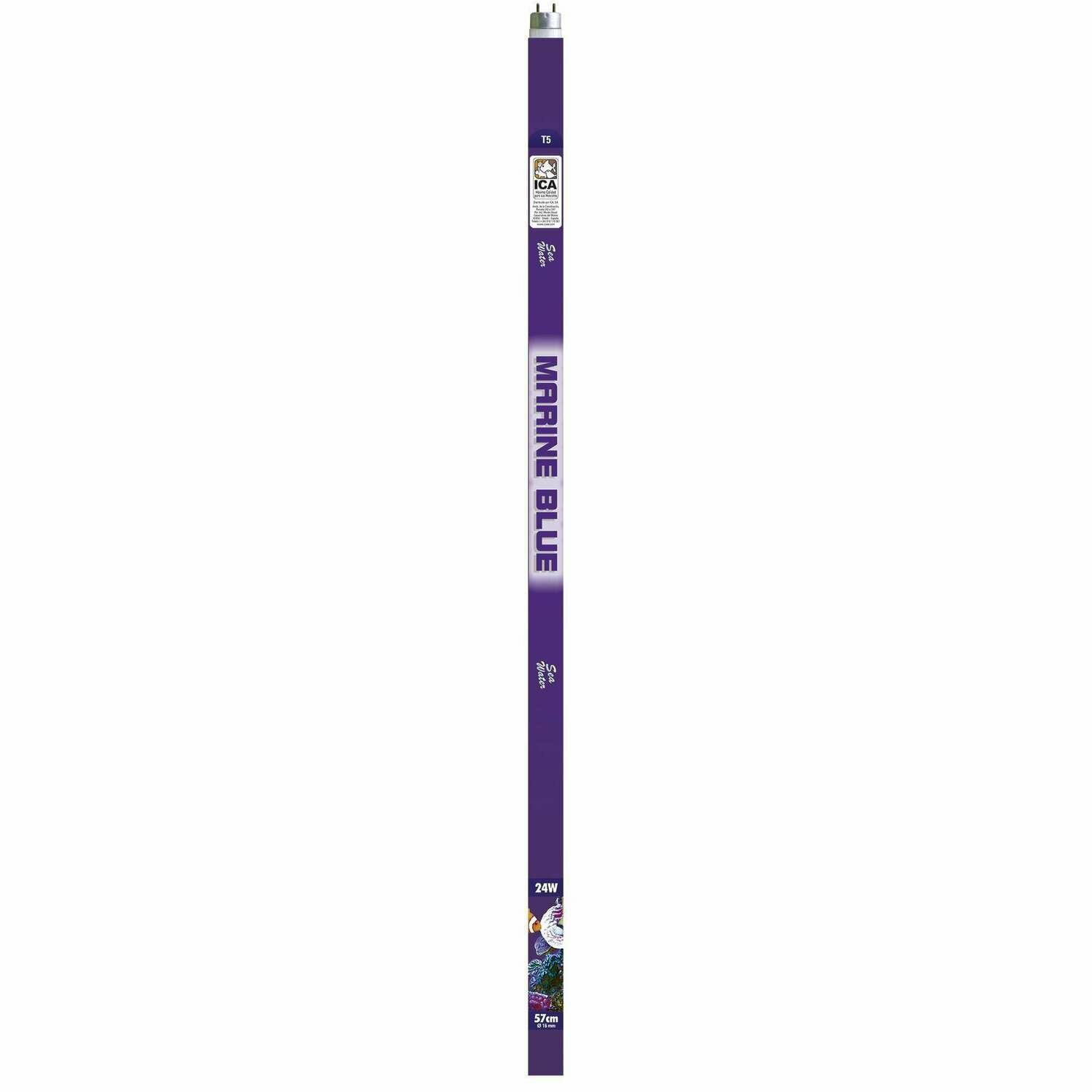 Fluorescente T5 MARINE BLUE