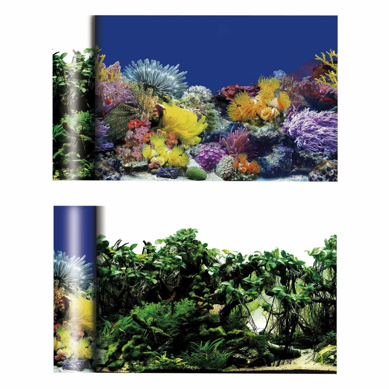 Fondo de doble cara (Fondo Corales / Plantas)