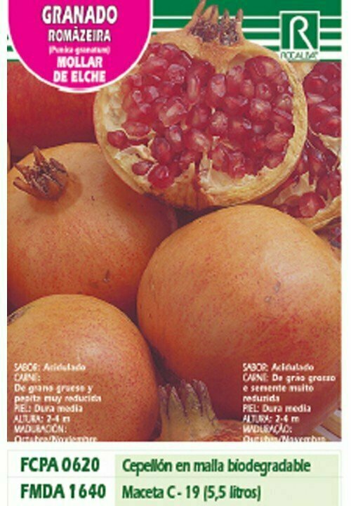 FRUTALES GRANADO MOLLAR DE ELCHE -rojo sobre amariLLO-