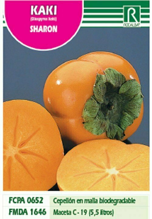FRUTALES KAKI SHARON
