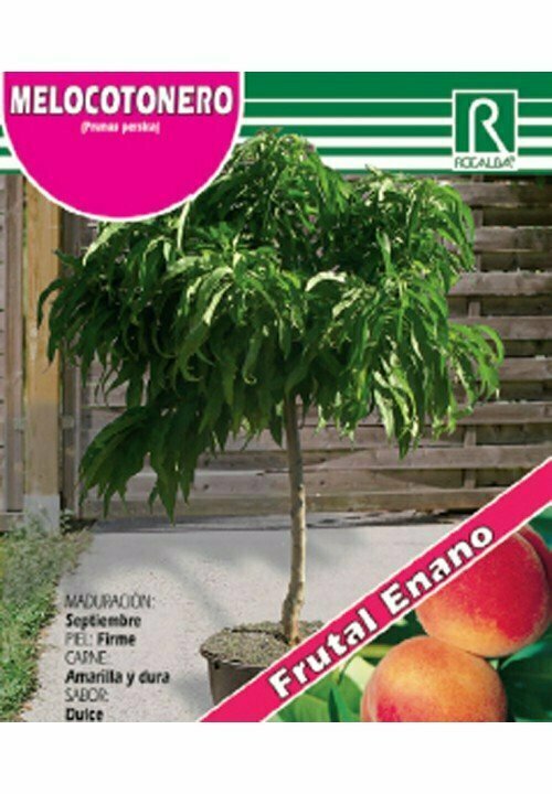 FRUTALES MELOCOTONERO ENANO