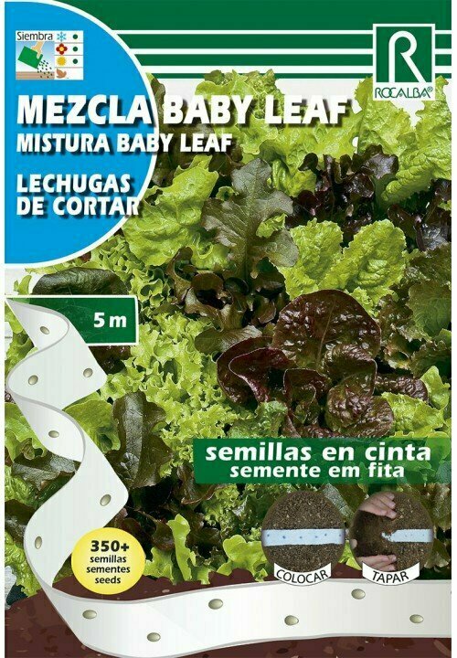 HORTALIZAS CINTA MEZCLA BABY LEAF(Lactuca sativa)
LECHUGAS DE CORTAR