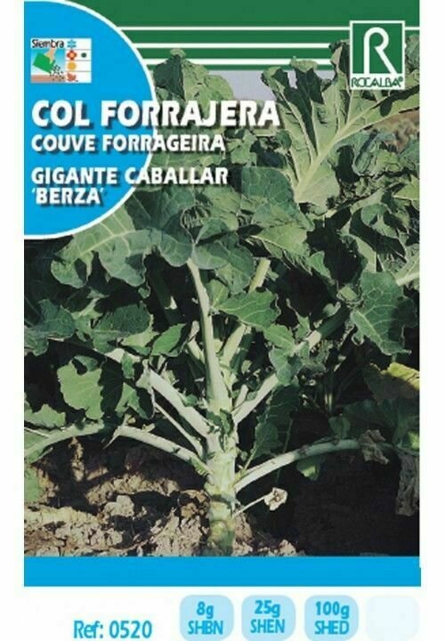 HORTALIZAS COL FORRAJERA GIGANTE CABALLAR (BERZA)