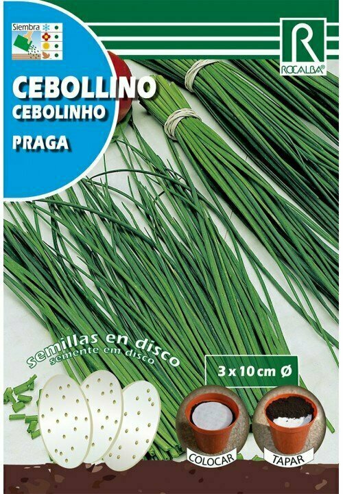 HORTALIZAS 
DISCO CEBOLLINO(Allium schoenoprasum)
PRAGA