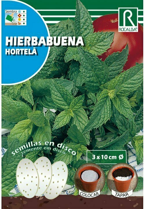 HORTALIZAS DISCO HIERBABUENA(Mentha spicata)